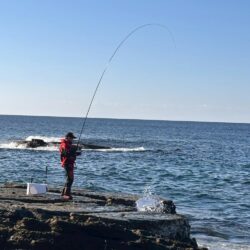 和歌山市江（吉丸渡船）でグレ釣り